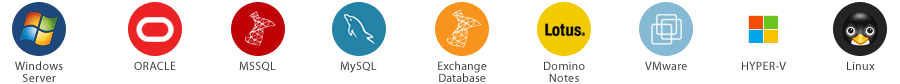 ico_backup_prof